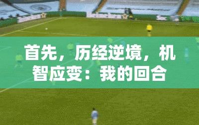 首先，历经逆境，机智应变：我的回合，如何巧妙翻盘与抢占先机？——从策略到执行的全方位解析